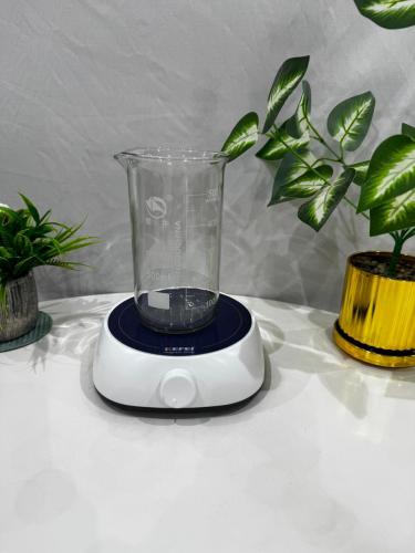 Blender with 500-gram cup