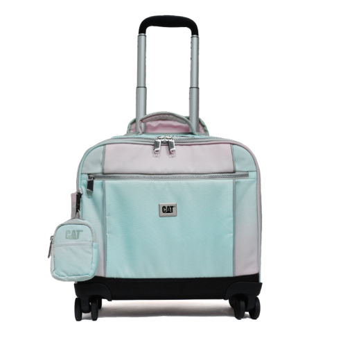 كات-حقيبة بـ اربعة عجلات