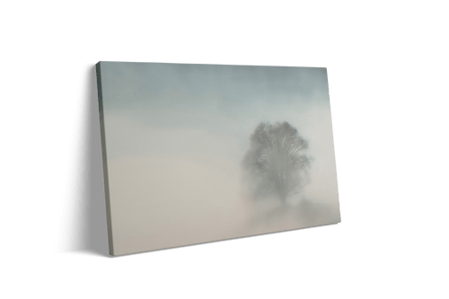 لوحـة [ الضبـاب والذاكـرة ]