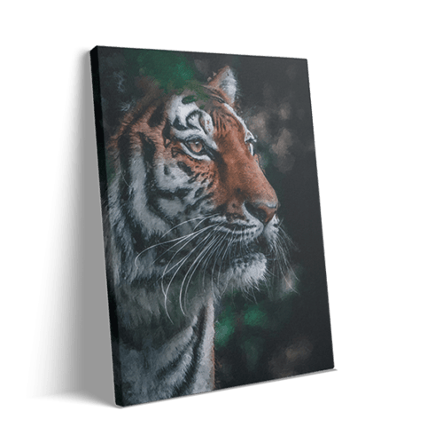 لوحـة [ هيبة الضَّرْجَع ]