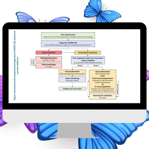 NMO & MOG Therapy update