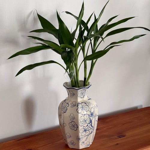 هدية رمضانية ( سَكينة خضراء )