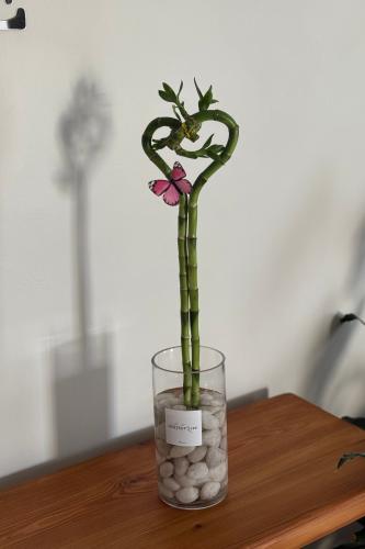 بامبو القلب