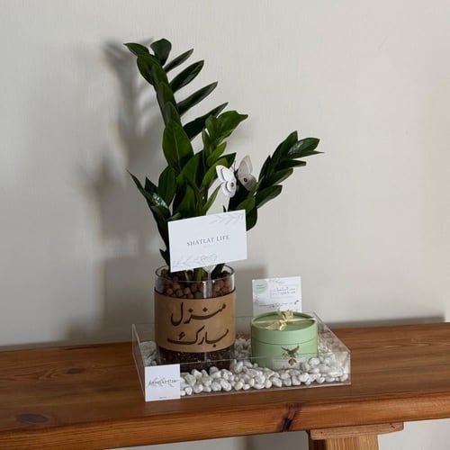 صحن اكريلك نبتة الزاميا مع انوش - ( يمكن اضافة جلد...