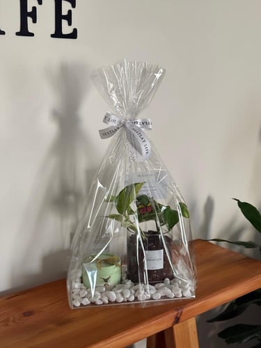 صحن اكريلك نبتة البوتس ماربل كوين مع انوش ( + اضاف...