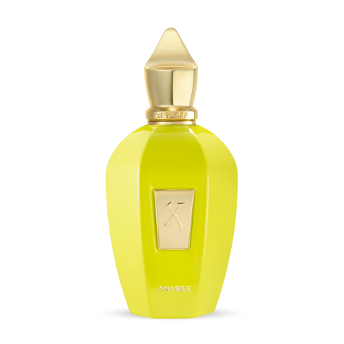 عطر زيرجوف أميبلي أو دو برفيوم 100 مل