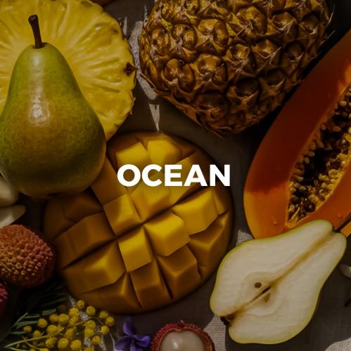 Ocean