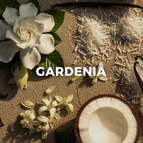 gardinea