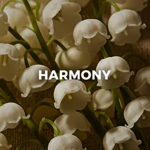 Harmony