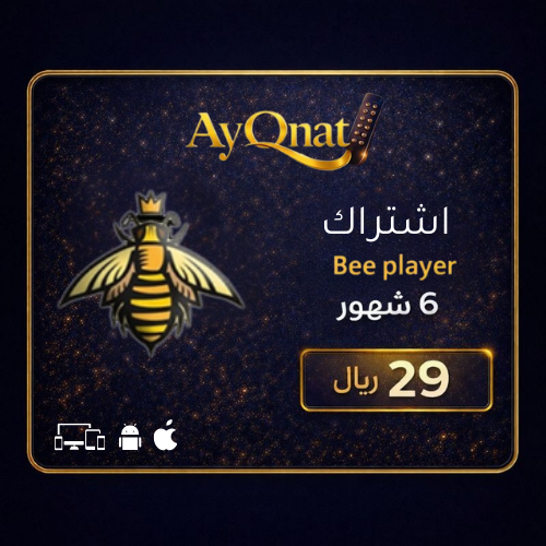 اشتراك بي بلير 6 شهور Beeplayr