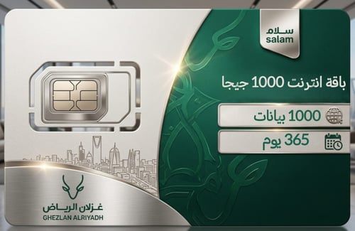 باقة انترنت سلام 1000 جيجا | 365 يوم