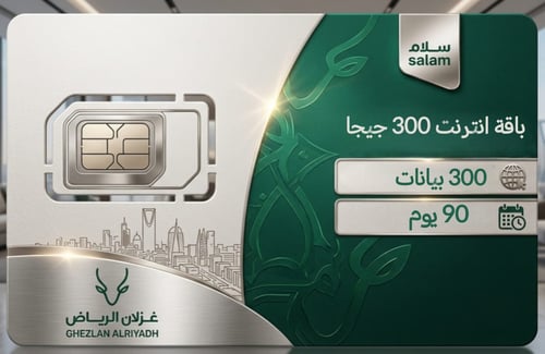 باقة انترنت سلام 300 | 3 اشهر