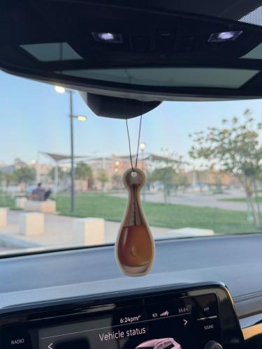 معطر للسيارة ديور جادور - عطر خشبي شرقي، معلق
