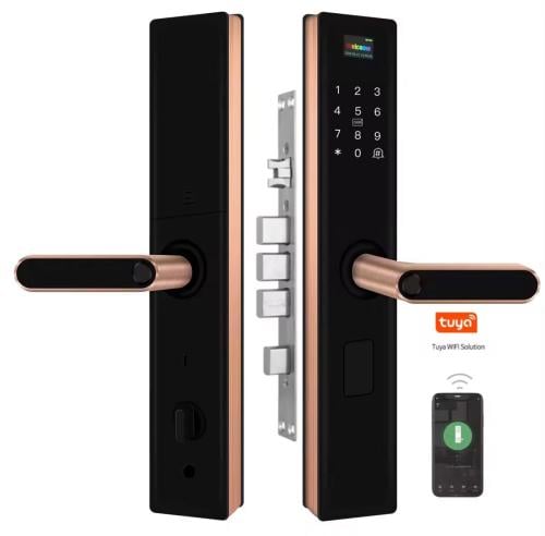 قفل باب ذكي داخلي باب حديد