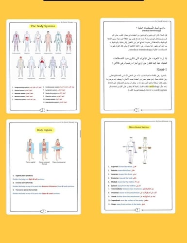 مصطلحات الطبيه (الأصفر