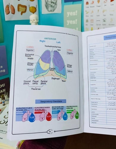 مصطلحات الطبيه (الأصفر