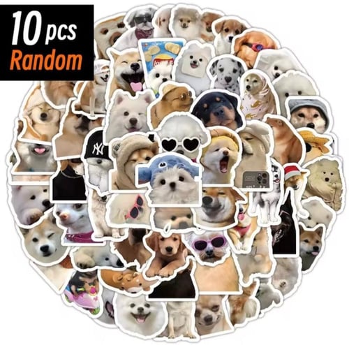 مجموعة من ملصقات الكلاب اللطيفة والمرحة. تتميز بتن...