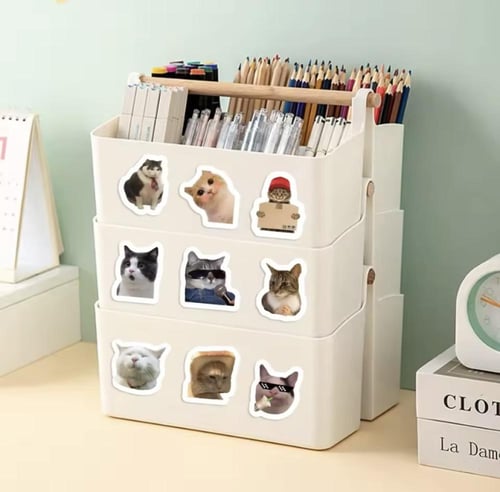 خمس مئة قطعة من ملصقات القطط. كل ملصق يحمل صورة قط...