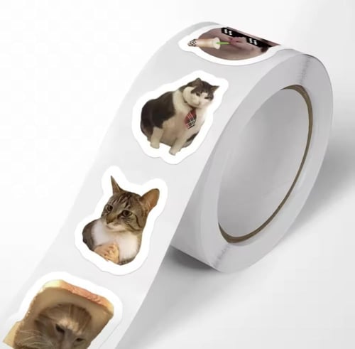 خمس مئة قطعة من ملصقات القطط. كل ملصق يحمل صورة قط...