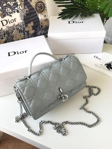 M. شنطة Dior