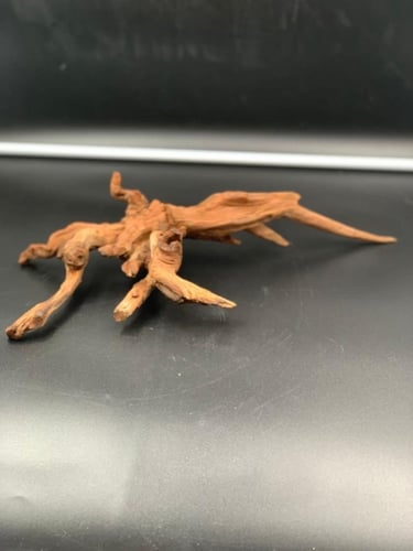 خشب مانجروف طبيعي مناسب لأحواض السمك