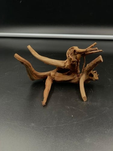 خشب مانجروف طبيعي مناسب لأحواض السمك