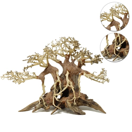 خشب بونساي لأحواض السمك