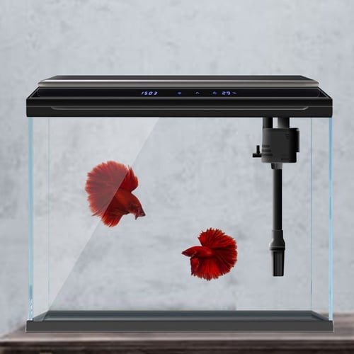 حوض سمك ديجيتال سي ستار