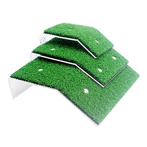 طلعة سلاحف
