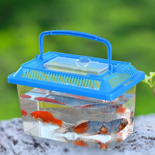 حوض بلاستيك بغطاء للاسماك والسلاحف