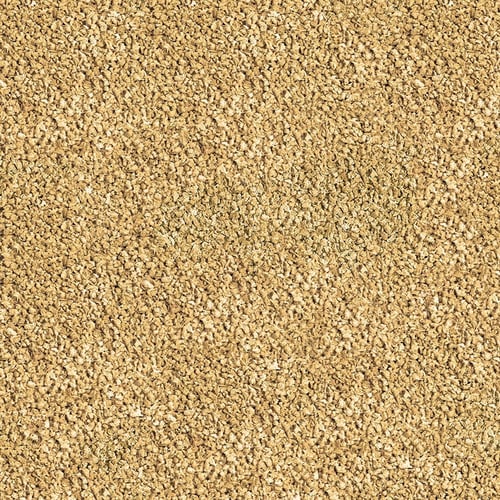 سيرا طعام بيتاجران معزز الوان اسماك الفايتر