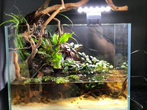 اضاءة ليد معلقة لأحواض السمك 6 واط X3