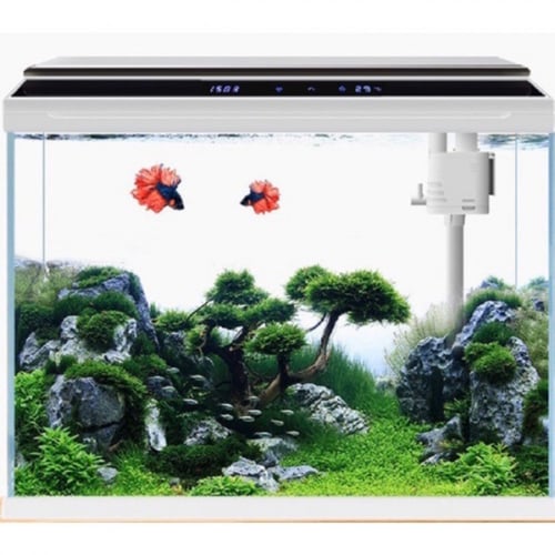 حوض سمك ديجيتال سي ستار