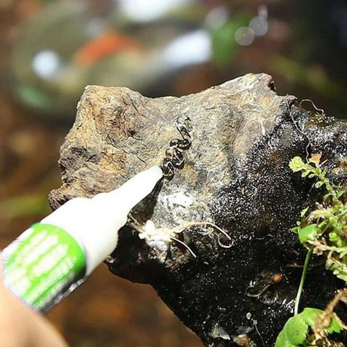 غراء مائي للنباتات 4 غرام