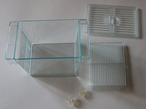 حضانة بلاستيك للاسماك AA230