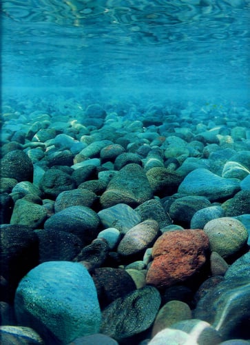 خلفيات مناظر طبيعية وجهين ارتفاع 50 سم