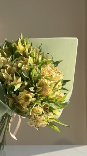 باقه زهور الاستوميريا