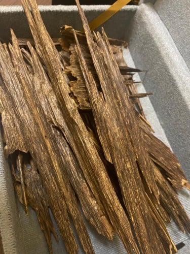 عود هندي زورا سوبر غابة آسام (بخور العيد)