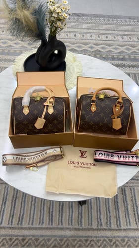 شنطة لويس فيتون _ بيج