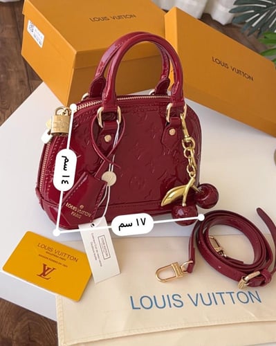 شنطة لويس فيتون _ أسود ( حجم صغير)