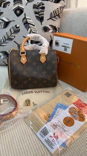 شنطة لويس فيتون _ بني مع بيج