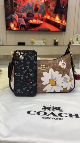 شنطة كوتش _ بيج