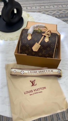 شنطة لويس فيتون _ بيج