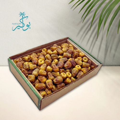 مفتل ملكي وزن ٤.٥ كيلو