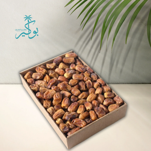 نبته راشد