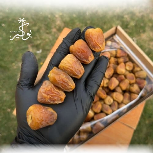 سكري مفتل رمز ٤٥