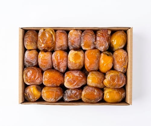 نبتة حصان