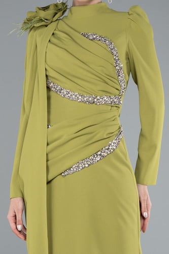 فستان سهرة بتطريز ناعم وأكمام طويلة