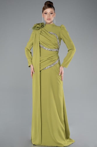 فستان سهرة بتطريز ناعم وأكمام طويلة