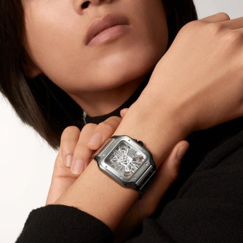 كارتير سانتوس شفاف-Skeleton